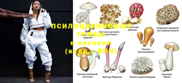 мет Алзамай