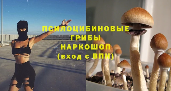 гашик Алексеевка