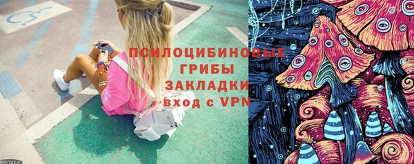 гашик Алексеевка