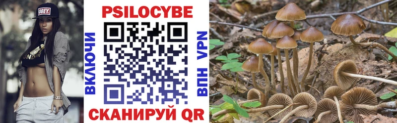 Псилоцибиновые грибы GOLDEN TEACHER  наркотики  Березники 